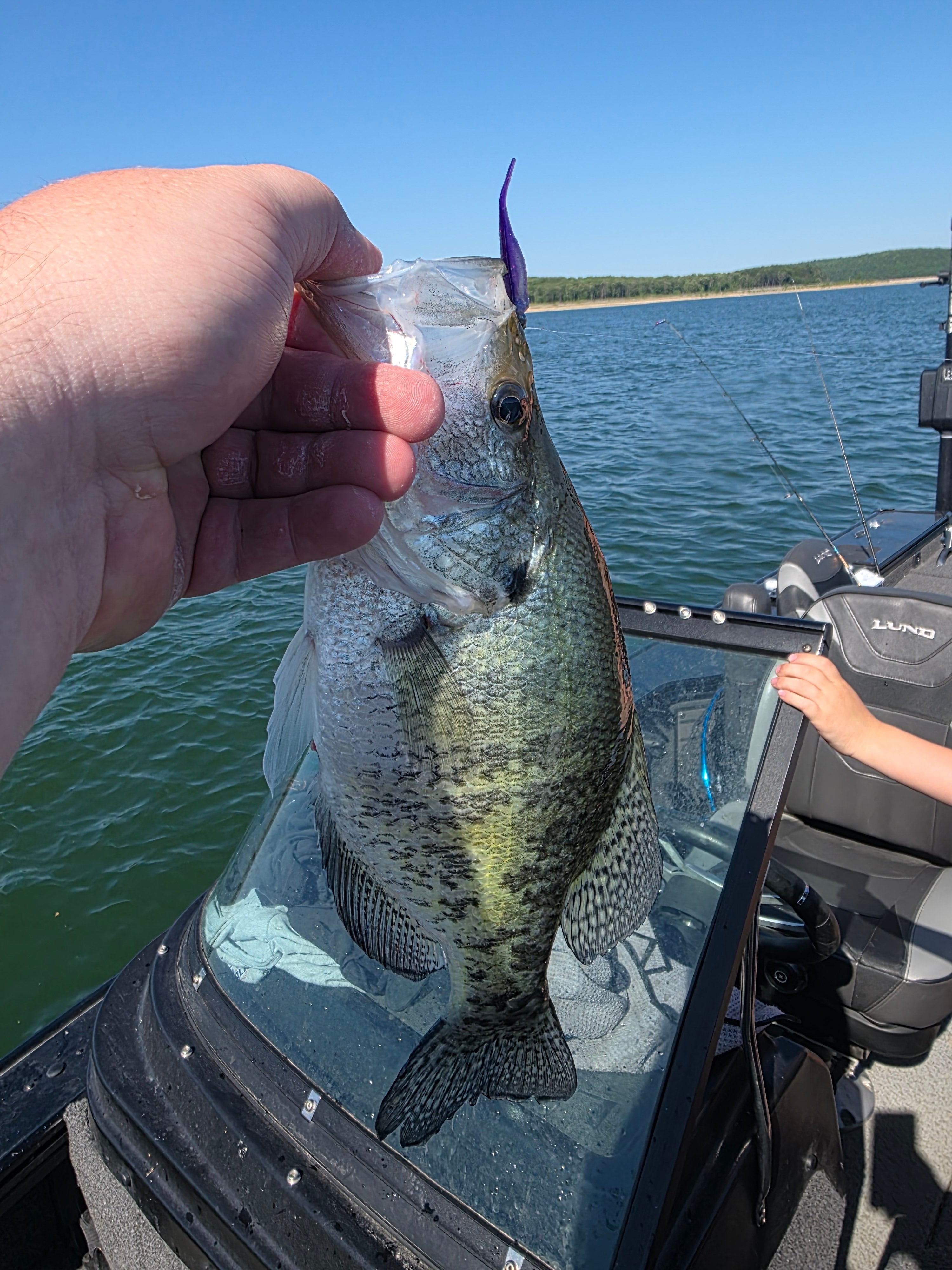 2" Skinny Shad