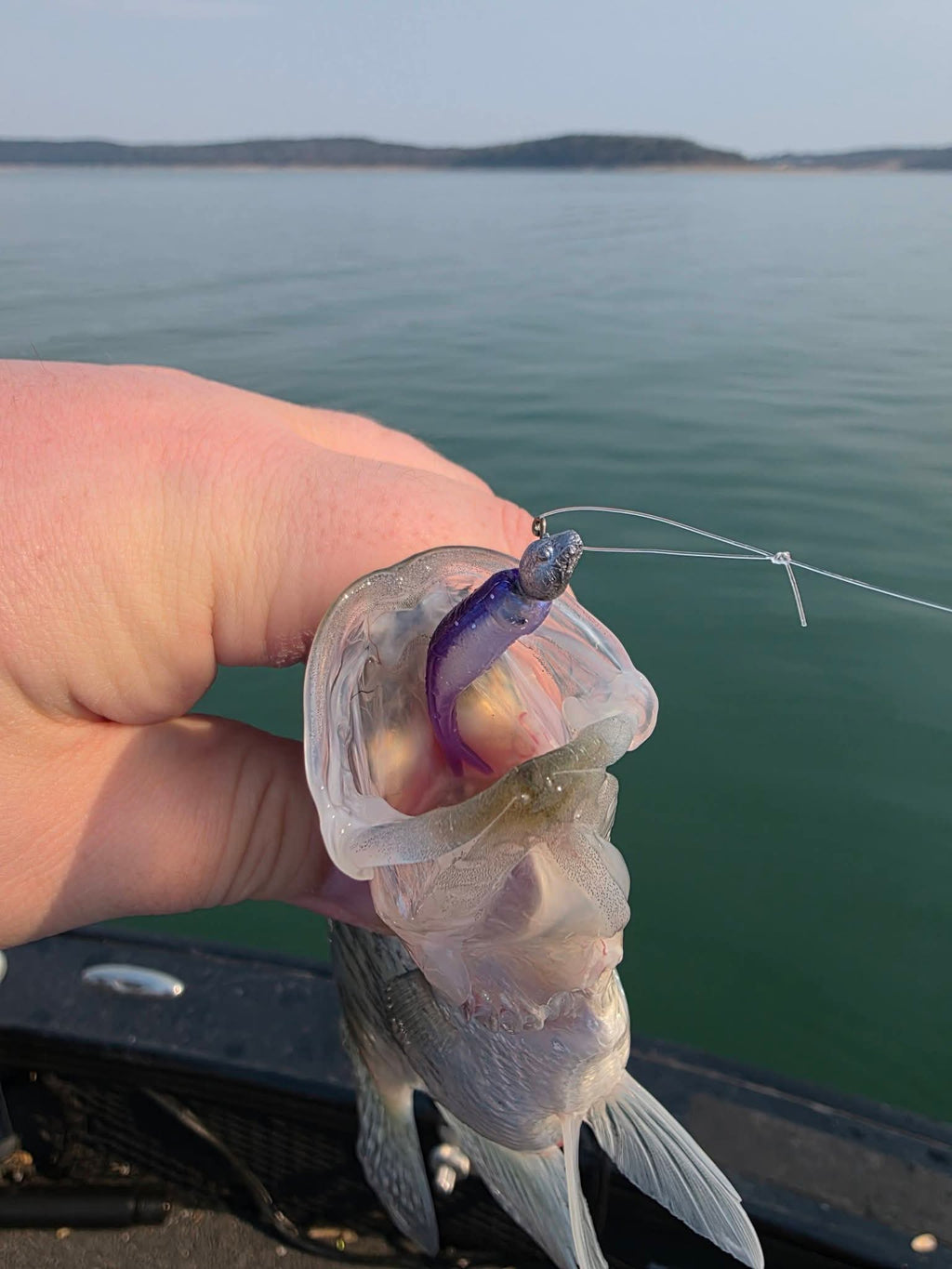 2" Skinny Shad