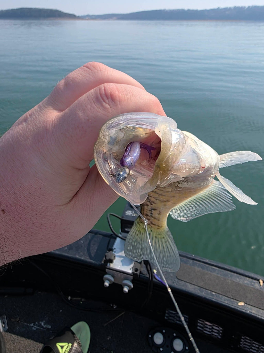 2" Skinny Shad