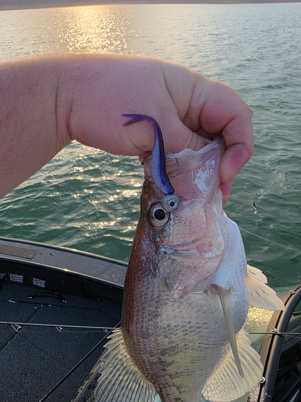 3" Skinny Shad
