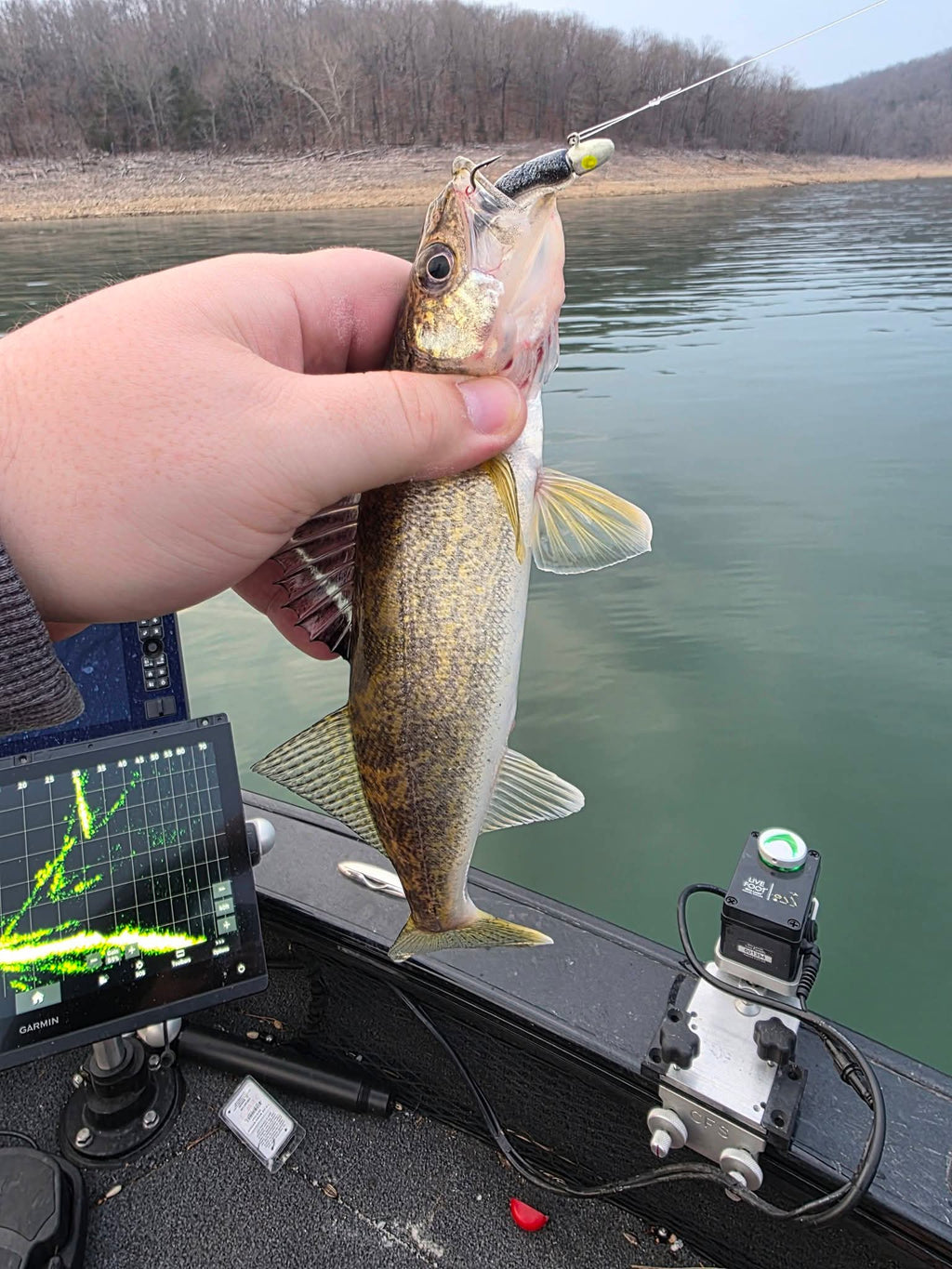 2.5" Skinny Shad