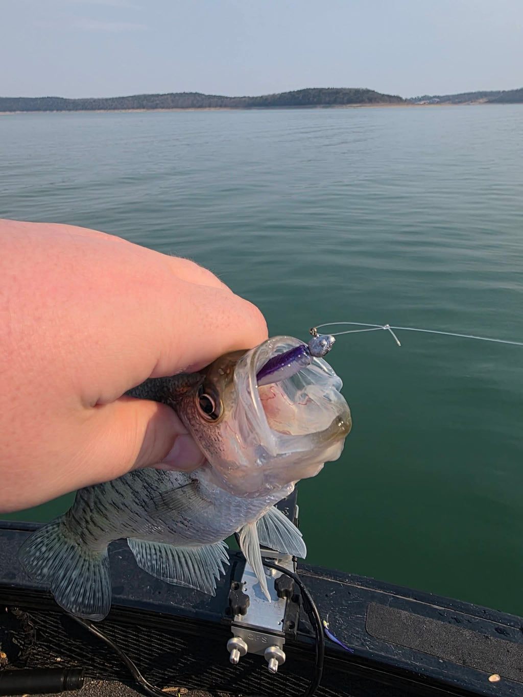 2" Skinny Shad
