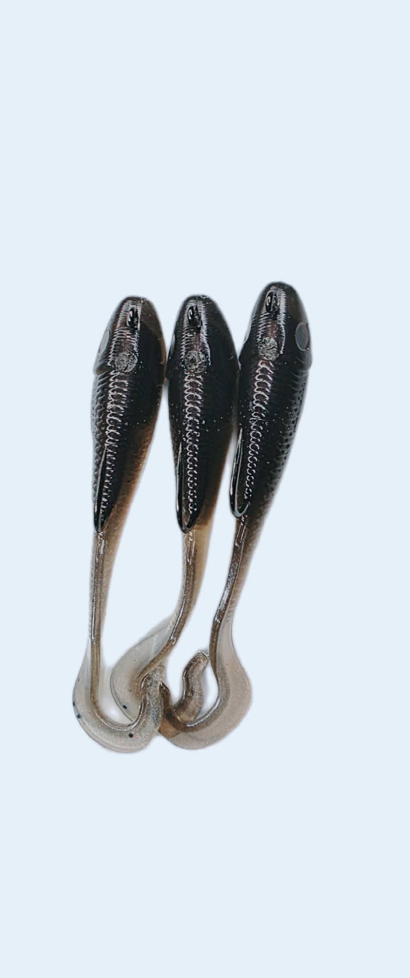 3.4" Shad Daddy Swimmer (1/2 ounce Internally Weighted swimbait)