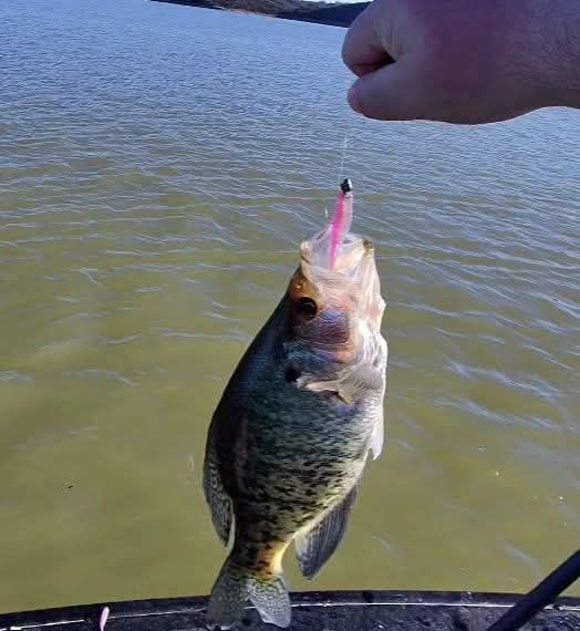 3.5" Skinny Shad